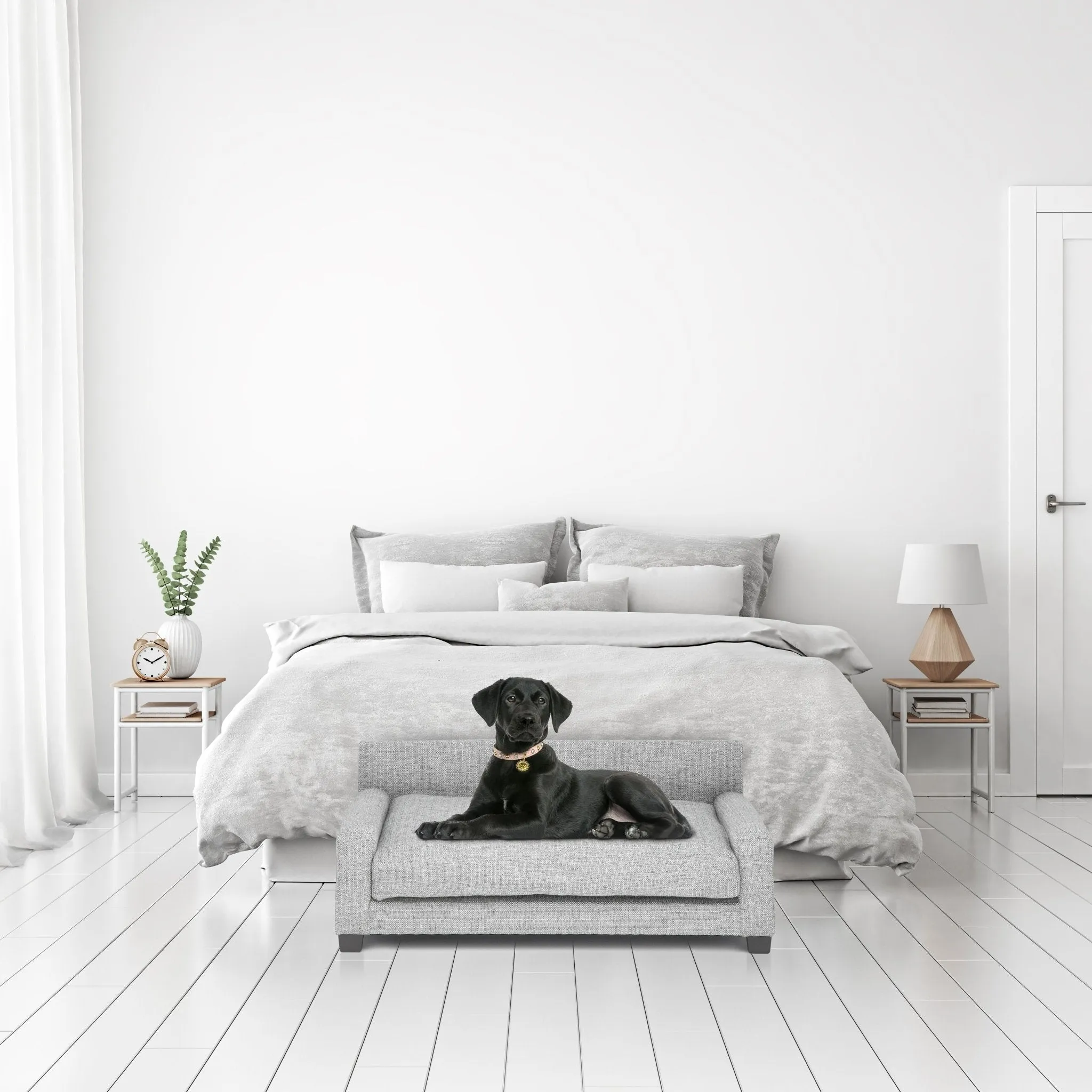 Club Nine Pets Metro Orthopedic Dog Bed in Metal