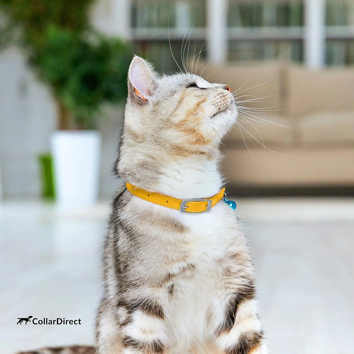 CollarDirect Leather Cat Collar with Removable Bell  Safety Kitten Collar with Elastic Strap (Yellow, 15 - 18 cm)
