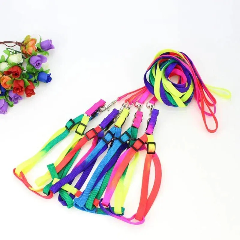 Colorful Rainbow Pet Harness and Leash Set