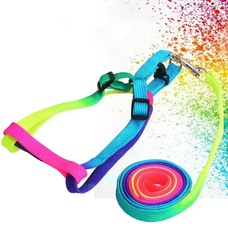 Colorful Rainbow Pet Harness and Leash Set