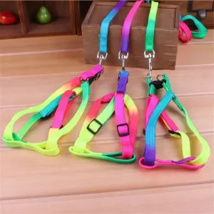 Colorful Rainbow Pet Harness and Leash Set