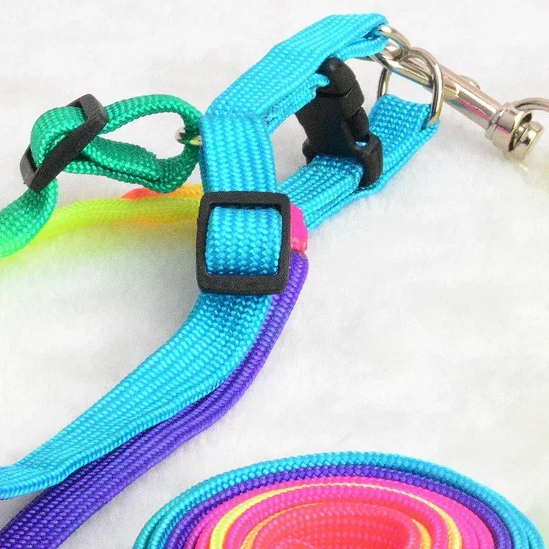 Colorful Rainbow Pet Harness and Leash Set