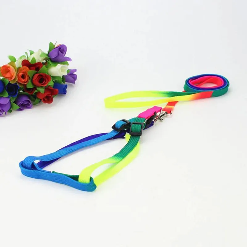 Colorful Rainbow Pet Harness and Leash Set