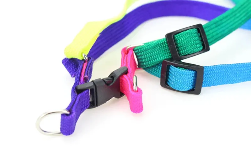 Colorful Rainbow Pet Harness and Leash Set