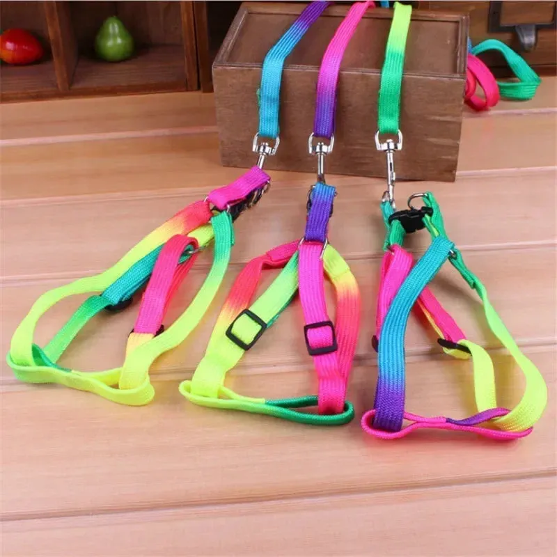 Colorful Rainbow Pet Harness and Leash Set