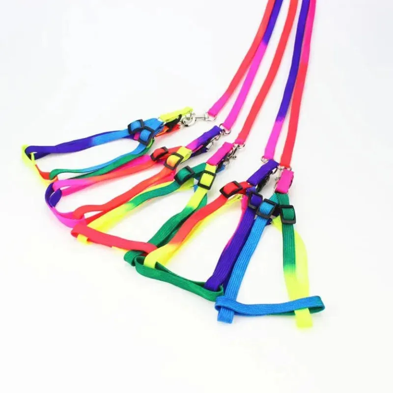 Colorful Rainbow Pet Harness and Leash Set