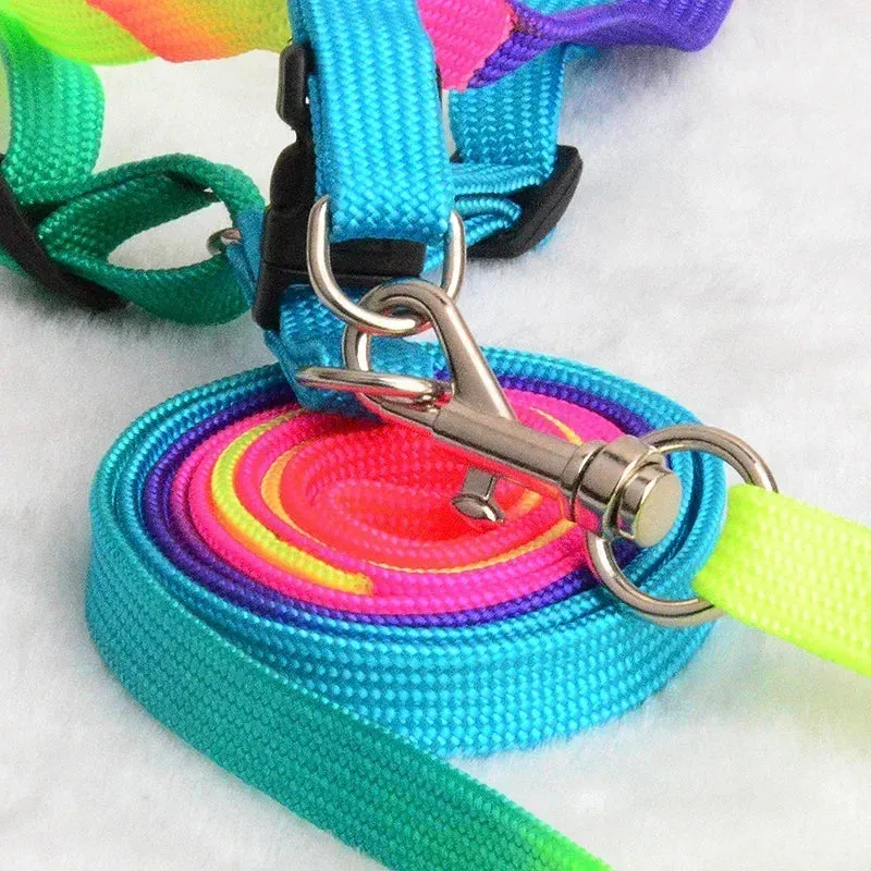 Colorful Rainbow Pet Harness and Leash Set