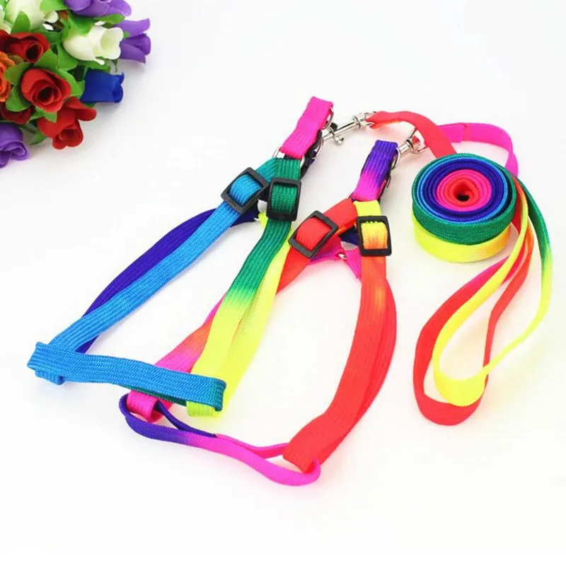 Colorful Rainbow Pet Harness and Leash Set