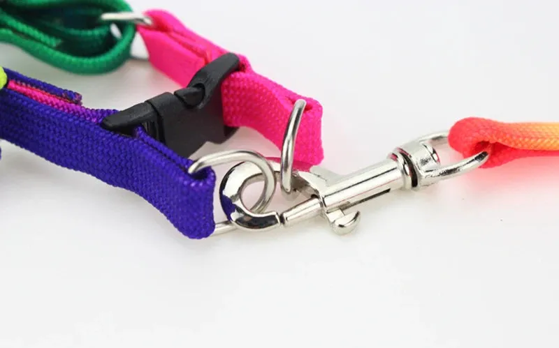 Colorful Rainbow Pet Harness and Leash Set