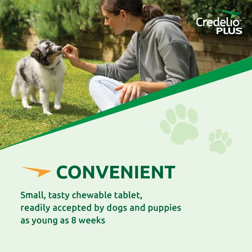 Credelio Plus Large 11-22kg Green