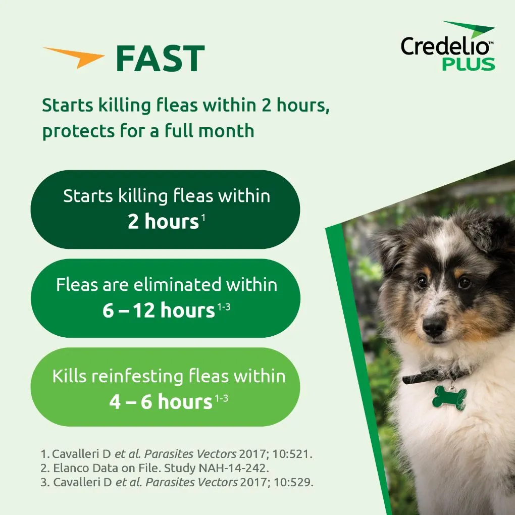 Credelio Plus Large 11-22kg Green