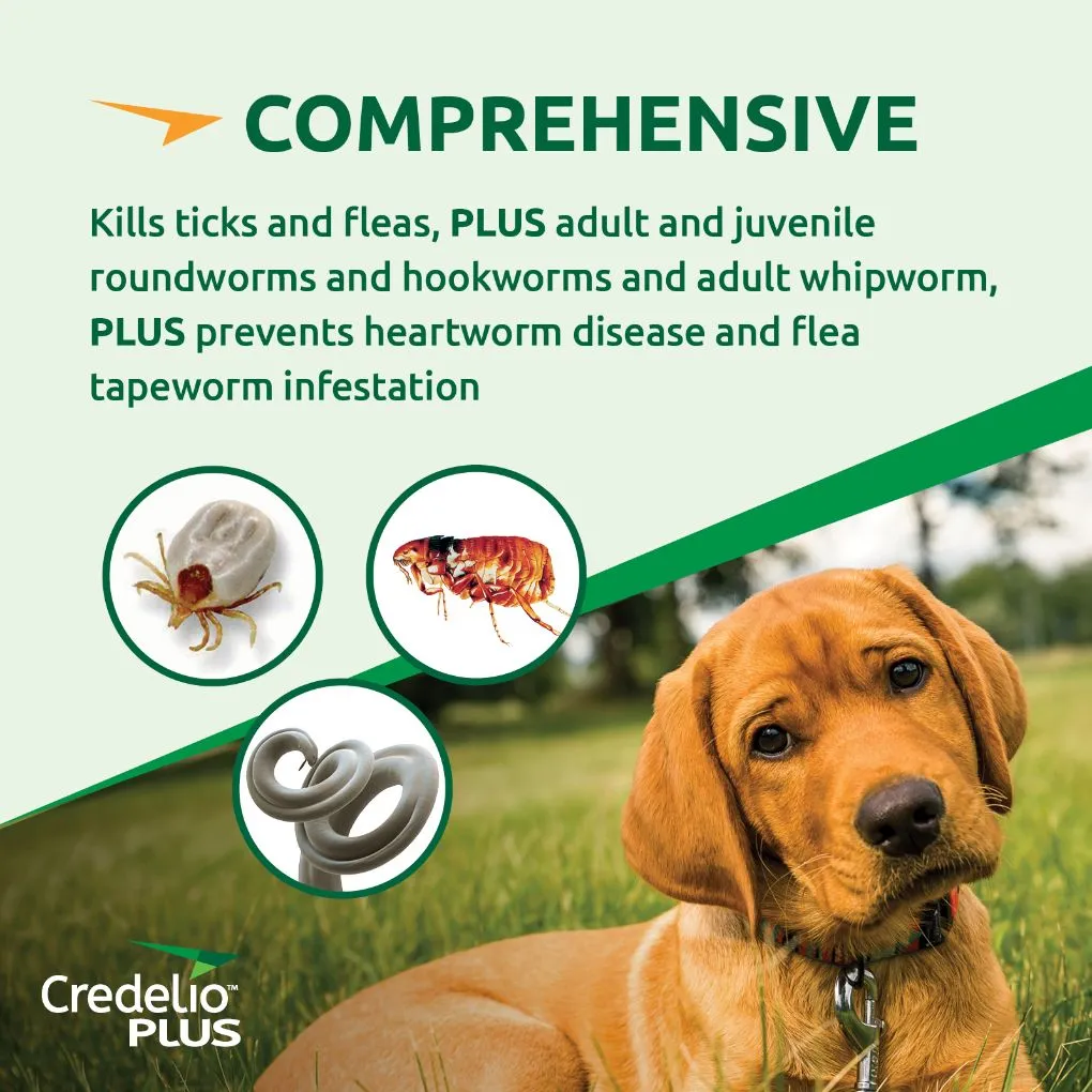 Credelio Plus Large 11-22kg Green