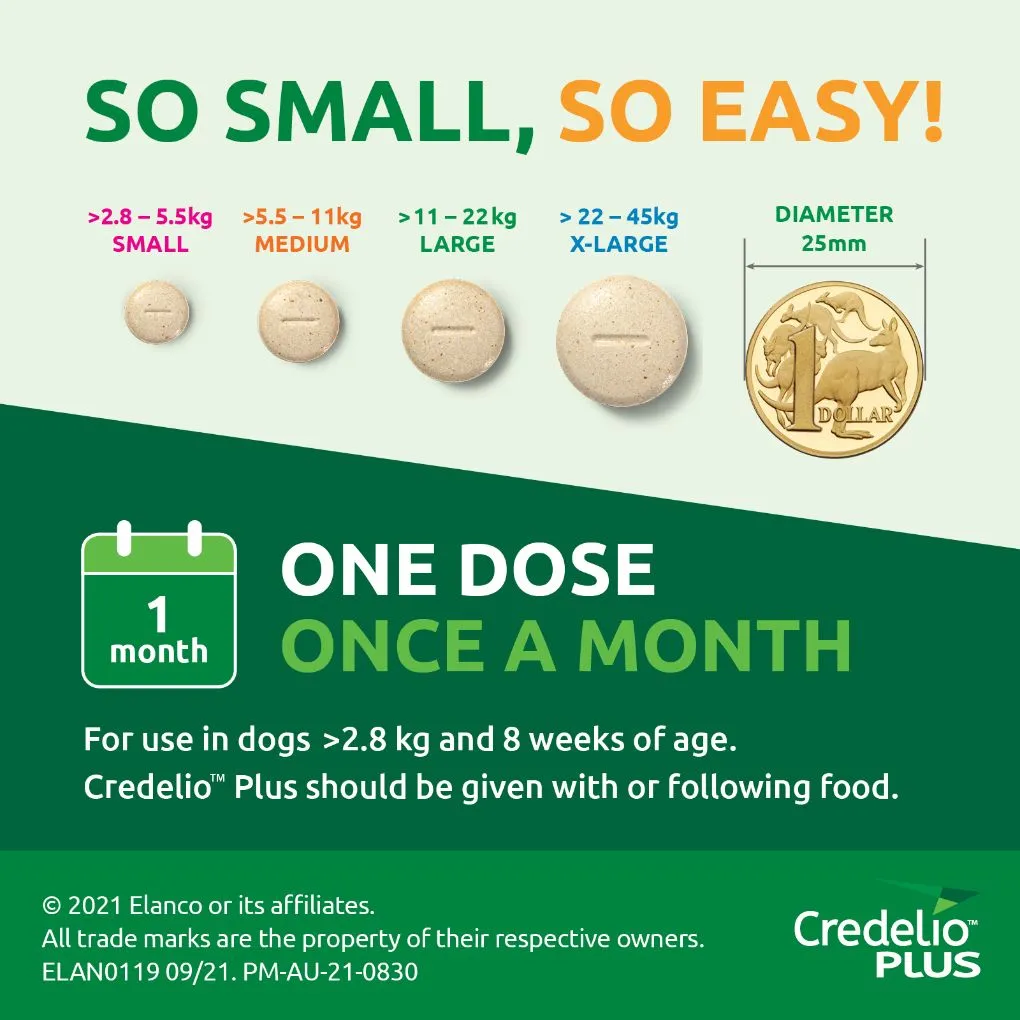 Credelio Plus Large 11-22kg Green