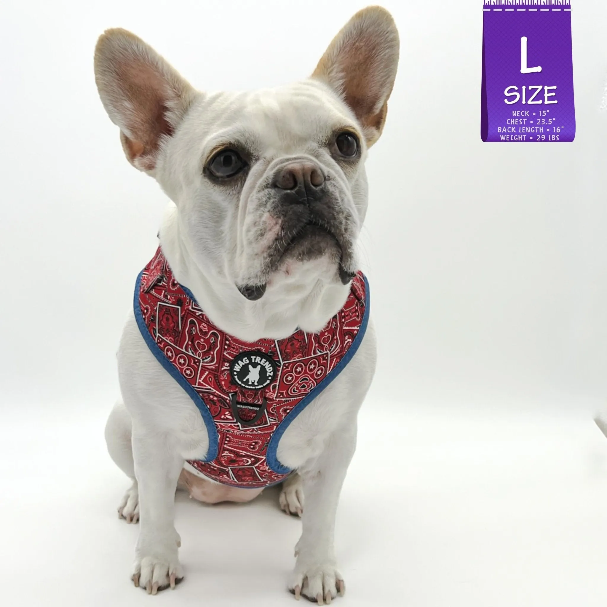 Dog Harness and Leash Set | Bandana Boujee Red
