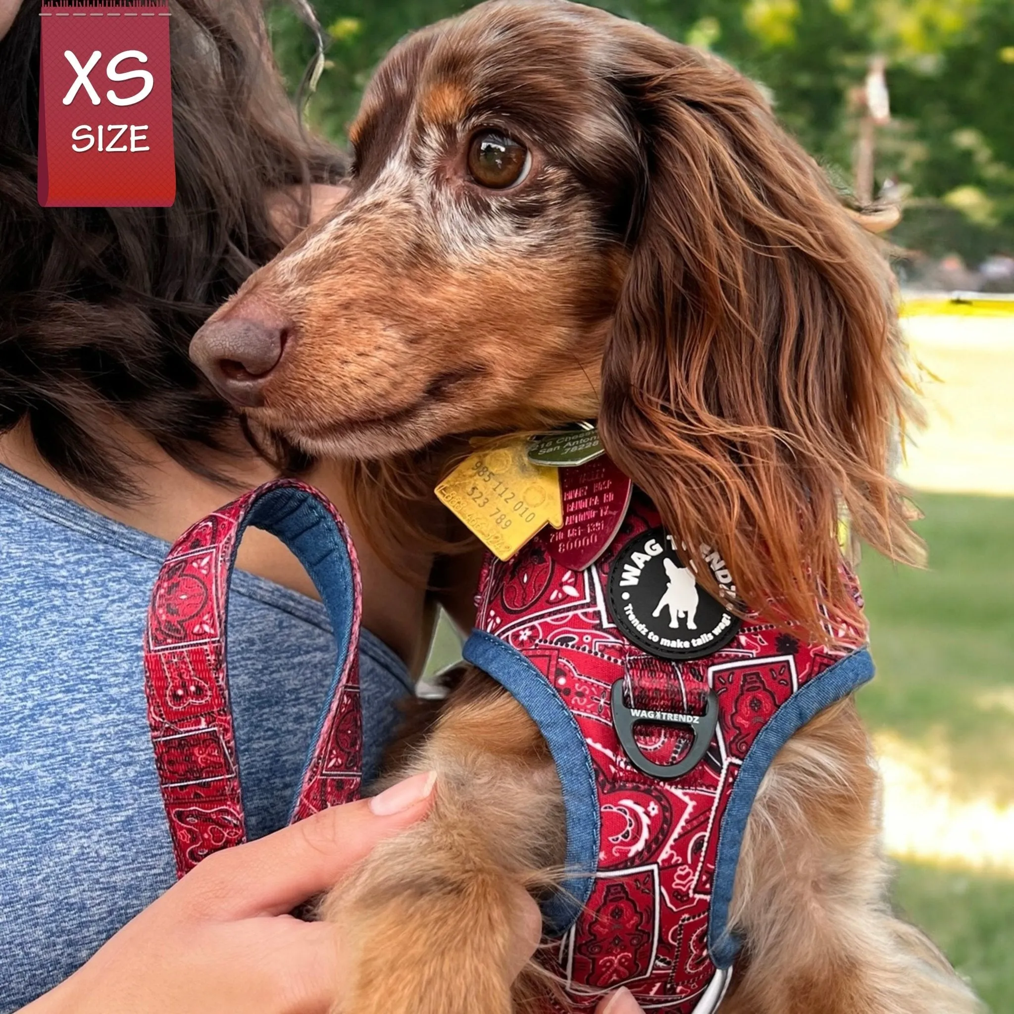 Dog Harness and Leash Set | Bandana Boujee Red