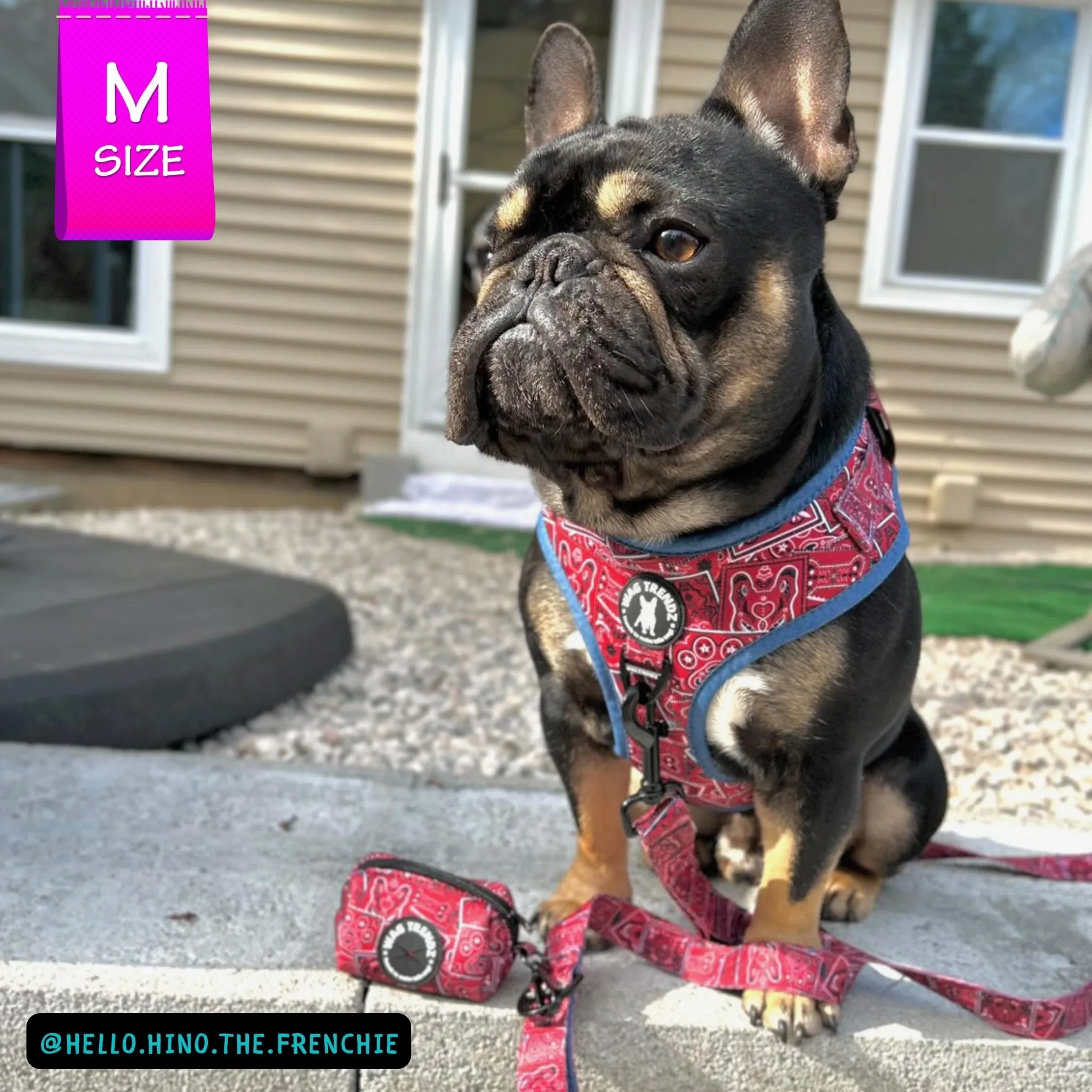 Dog Harness and Leash Set | Bandana Boujee Red