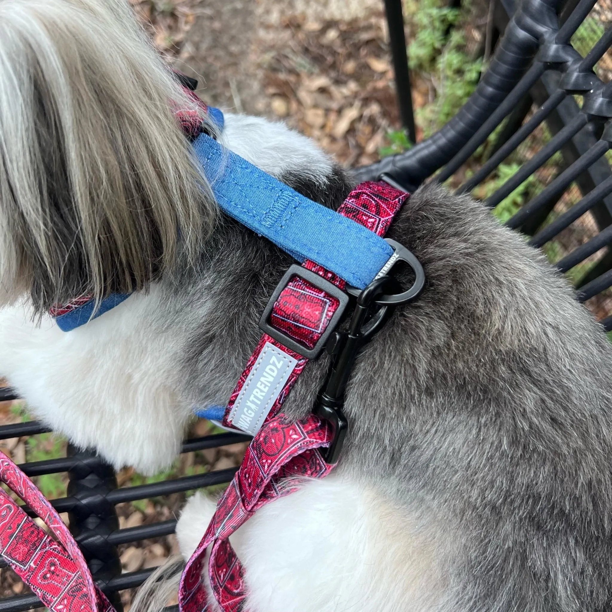 Dog Harness and Leash Set | Bandana Boujee Red
