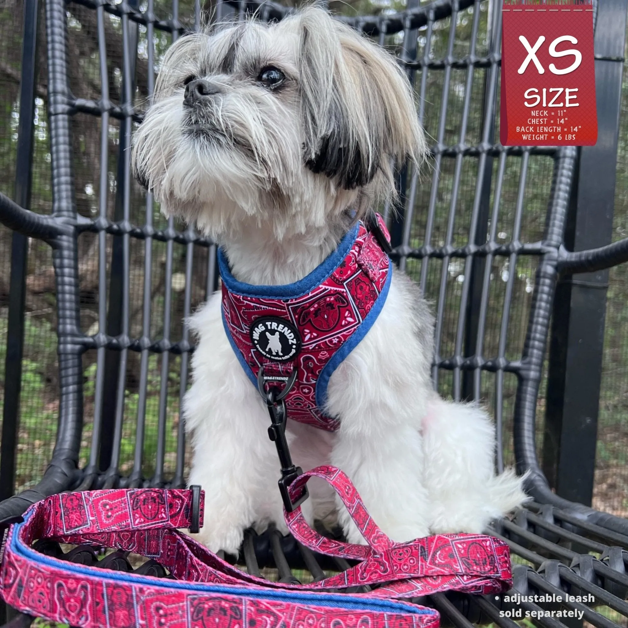 Dog Harness and Leash Set | Bandana Boujee Red
