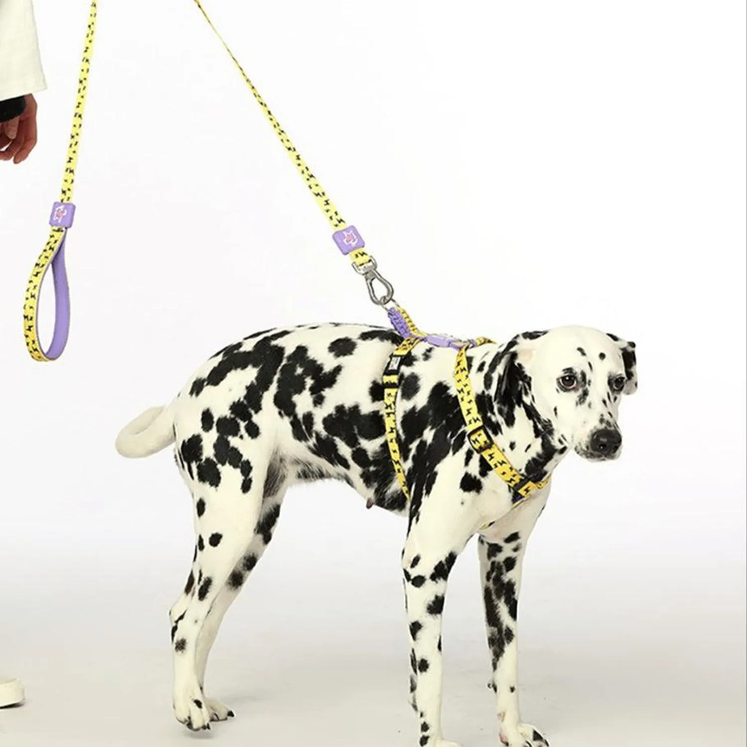 Dog Strap Harness - Lightning