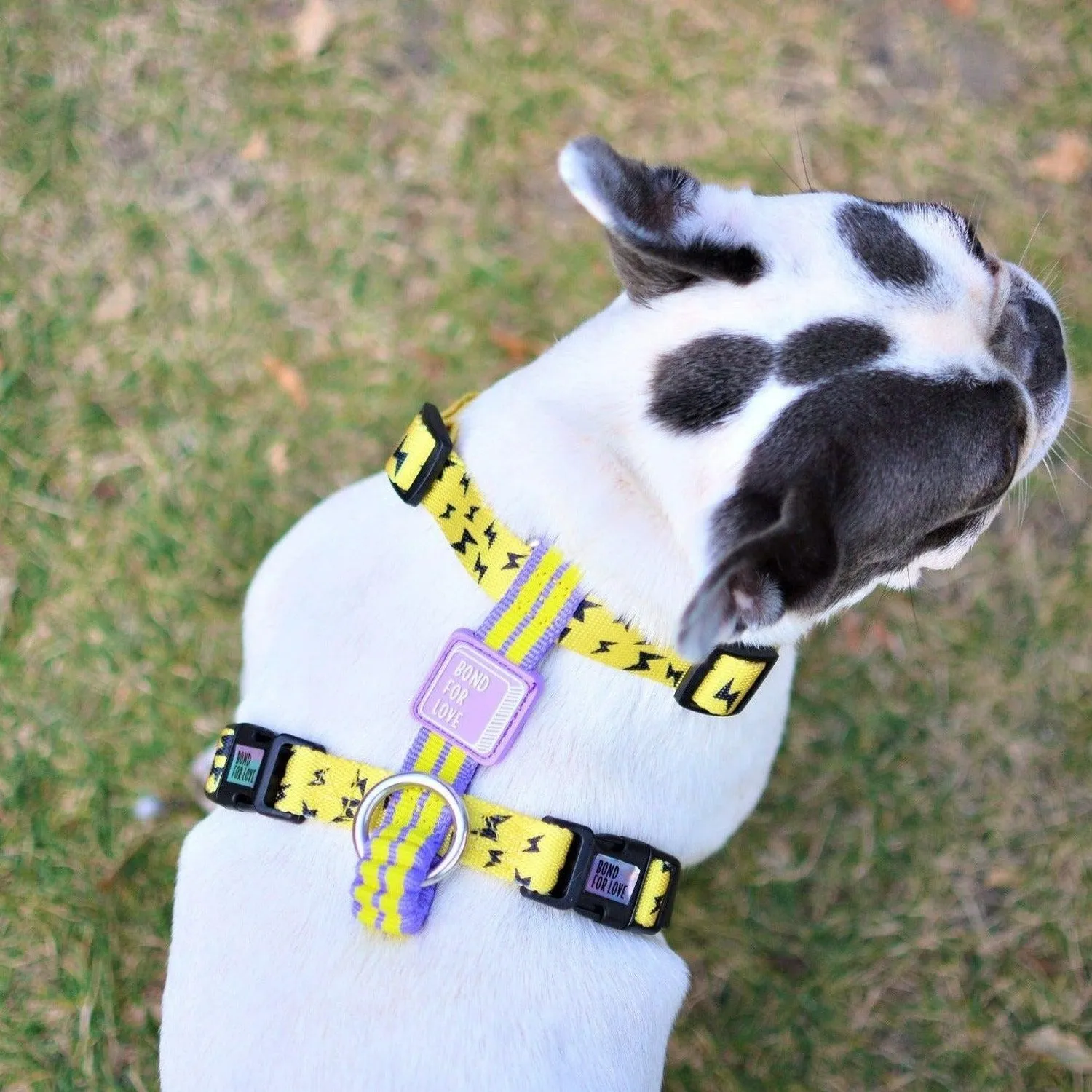 Dog Strap Harness - Lightning