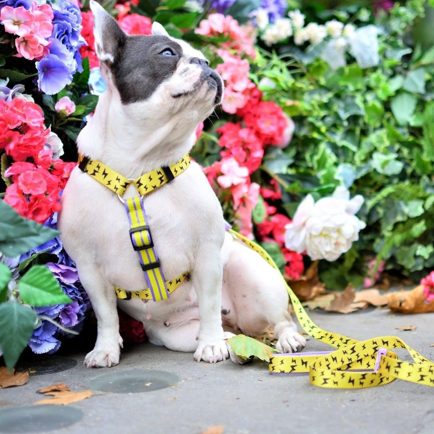 Dog Strap Harness - Lightning