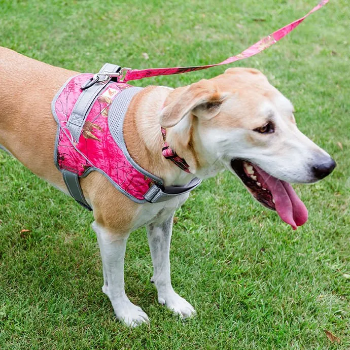 Doggy Tales Patented Realtree Hart Harness, Paradise Pink
