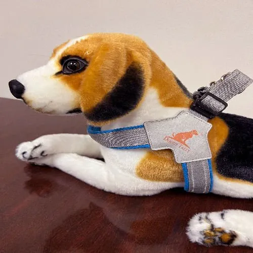 Doggy Tales Step In V Harness, Blue