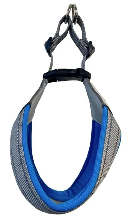 Doggy Tales Step In V Harness, Blue