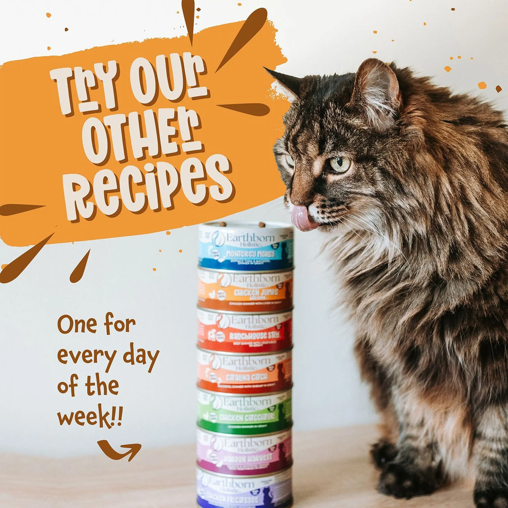 Earthborn Holistic Grain-Free Wet Canned Cat Food