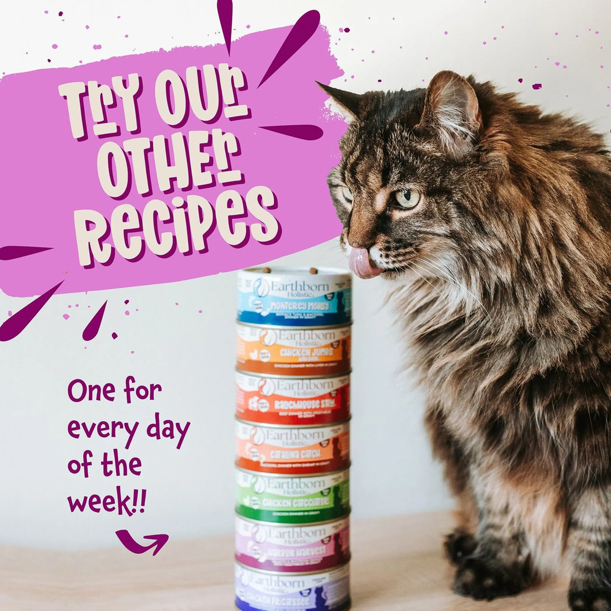 Earthborn Holistic Grain-Free Wet Canned Cat Food