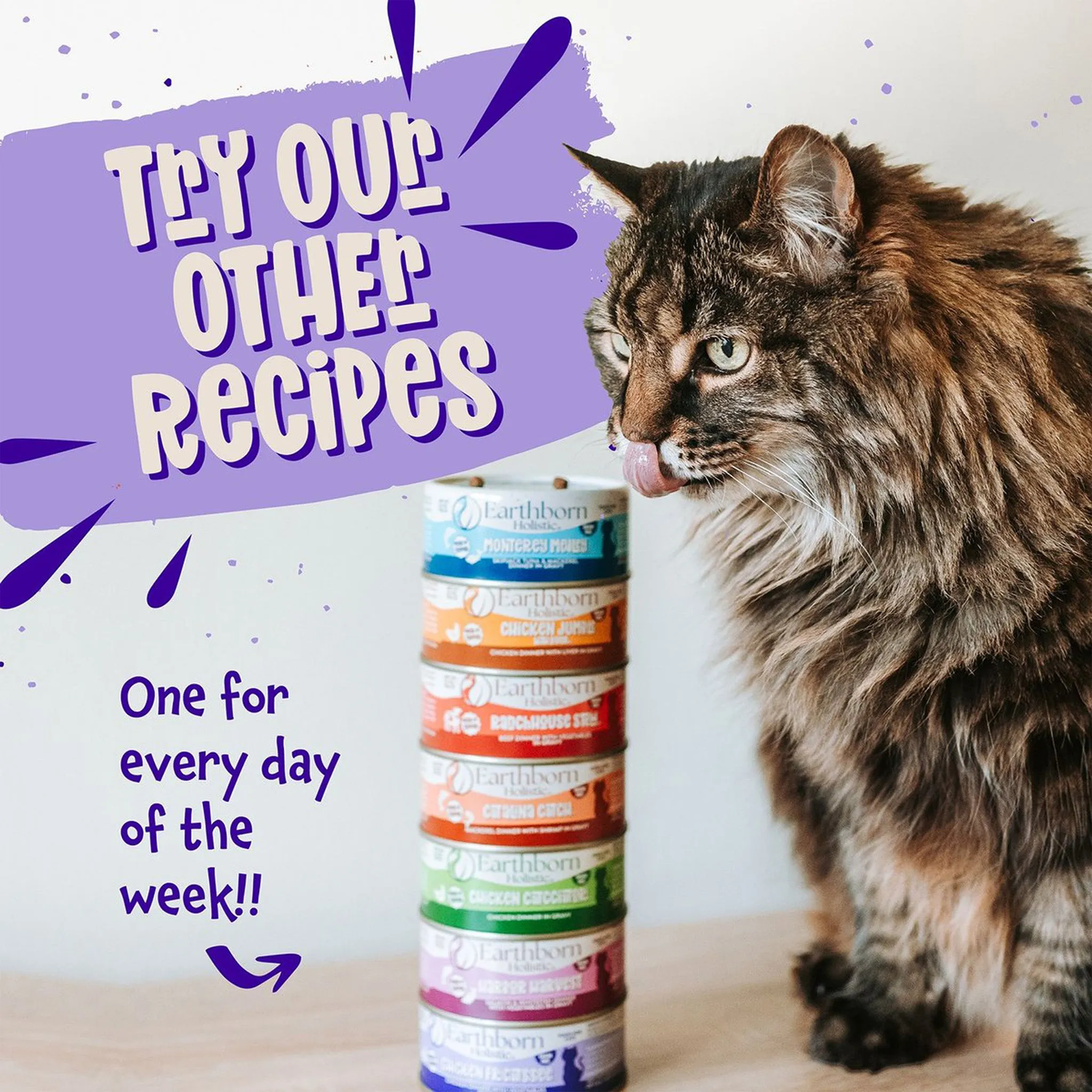 Earthborn Holistic Grain-Free Wet Canned Cat Food
