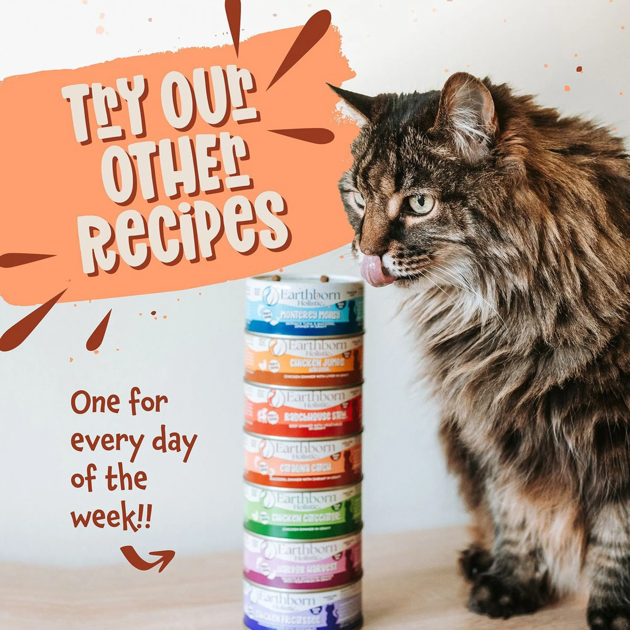 Earthborn Holistic Grain-Free Wet Canned Cat Food