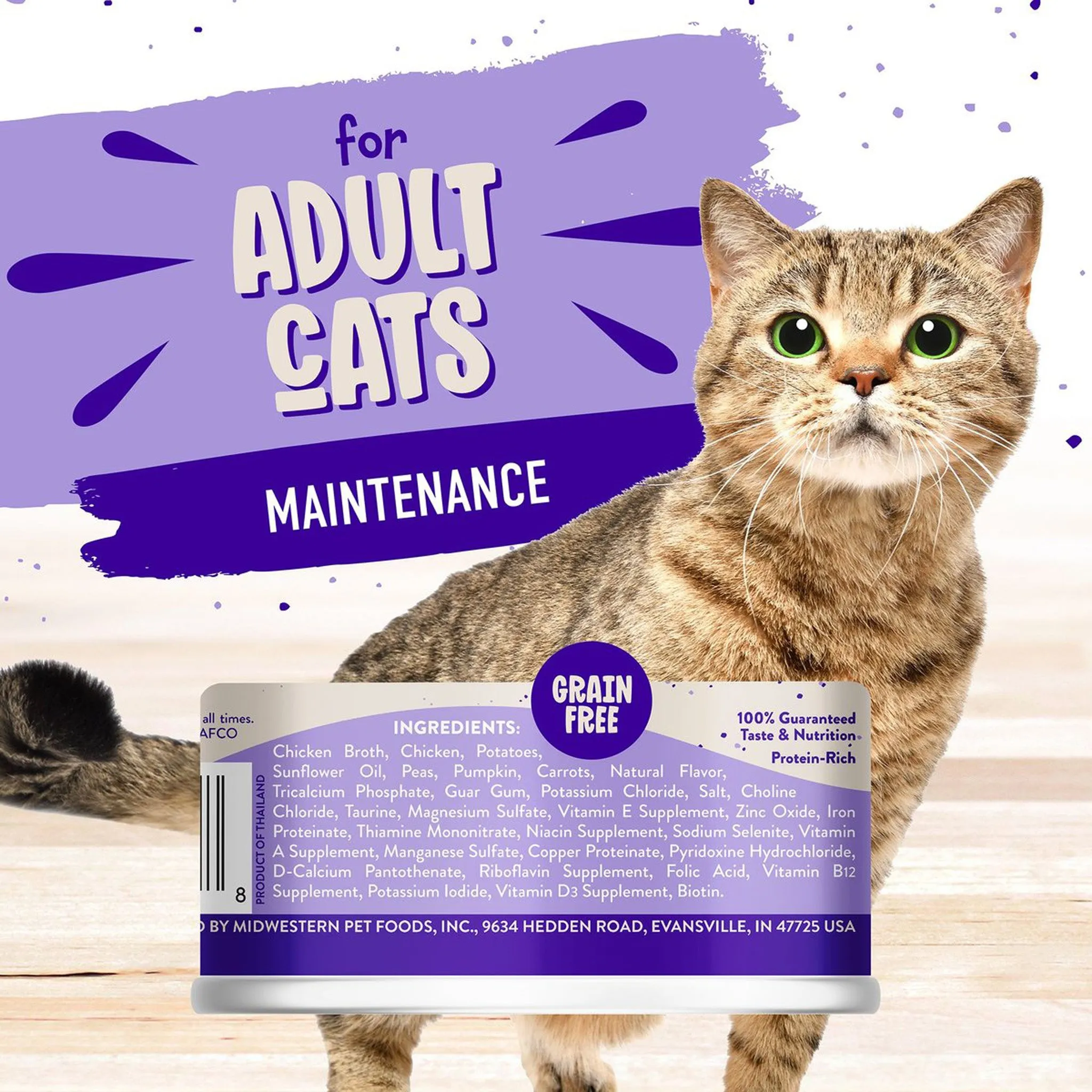 Earthborn Holistic Grain-Free Wet Canned Cat Food
