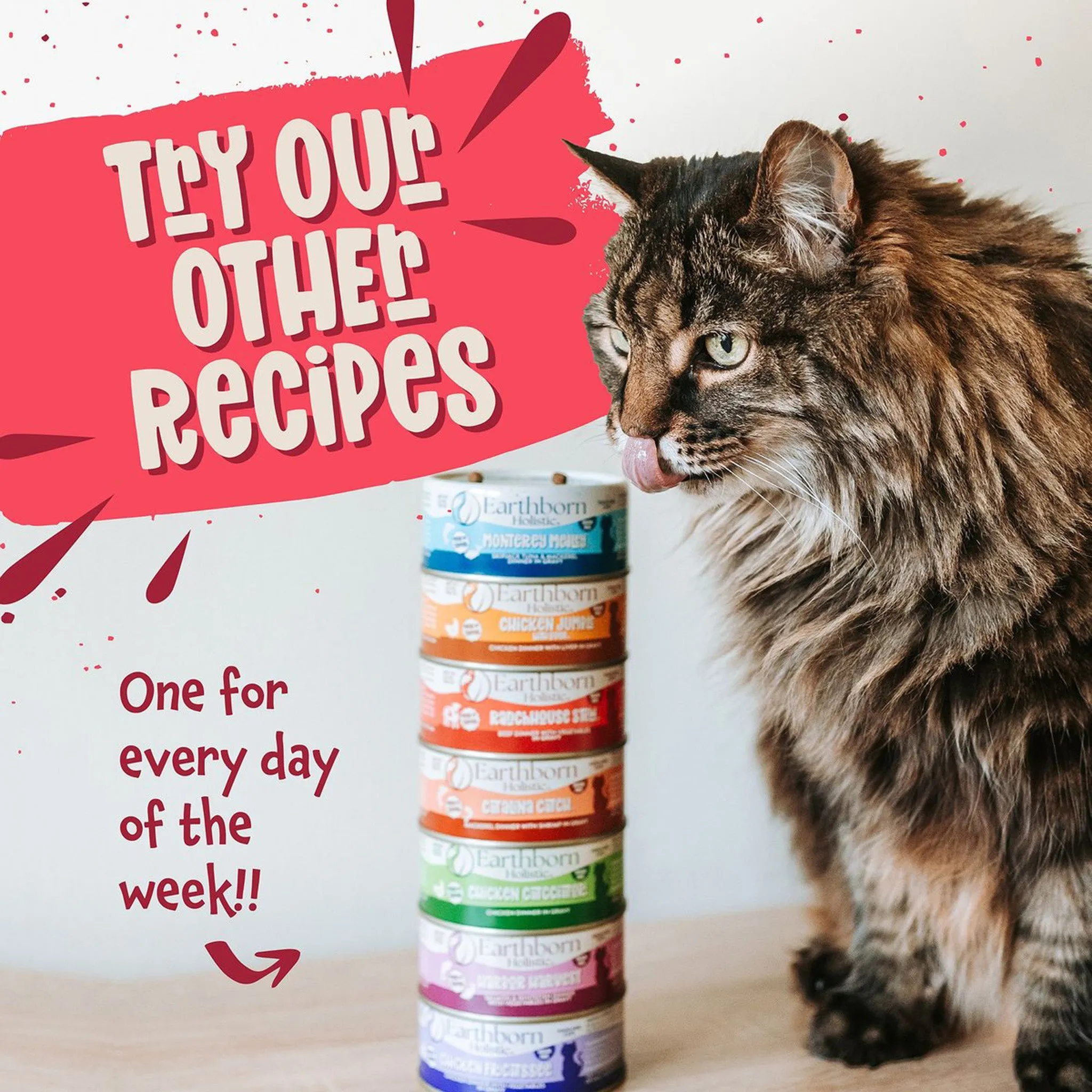 Earthborn Holistic Grain-Free Wet Canned Cat Food