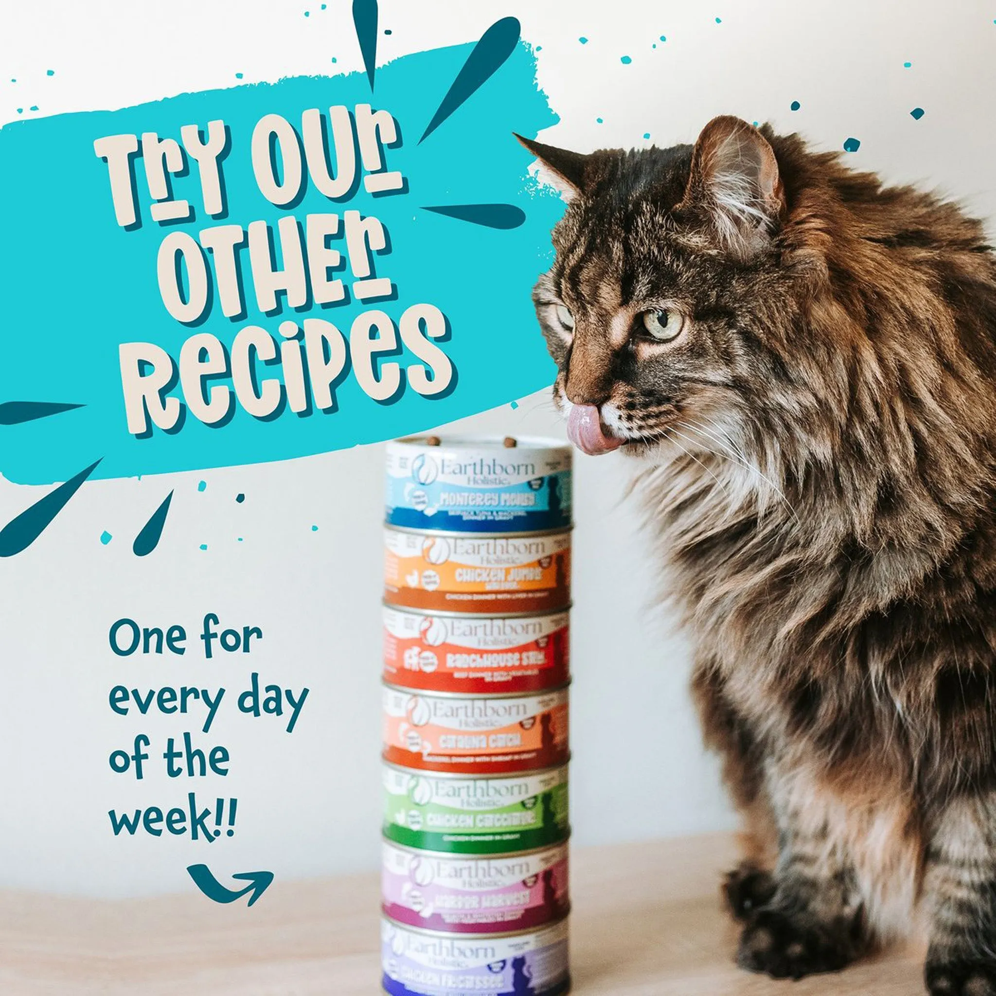 Earthborn Holistic Grain-Free Wet Canned Cat Food