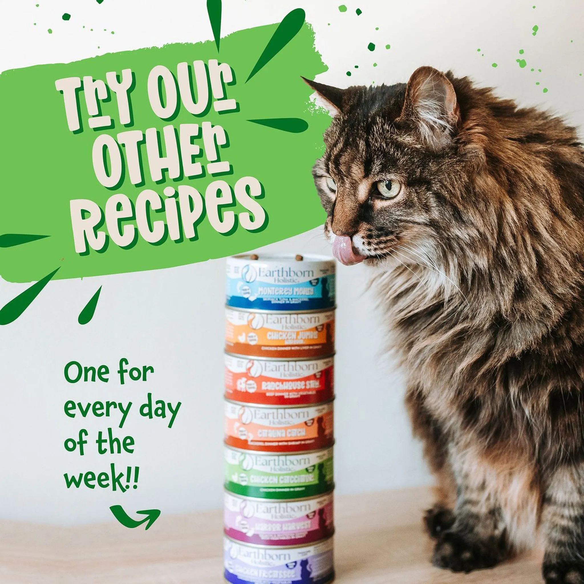 Earthborn Holistic Grain-Free Wet Canned Cat Food
