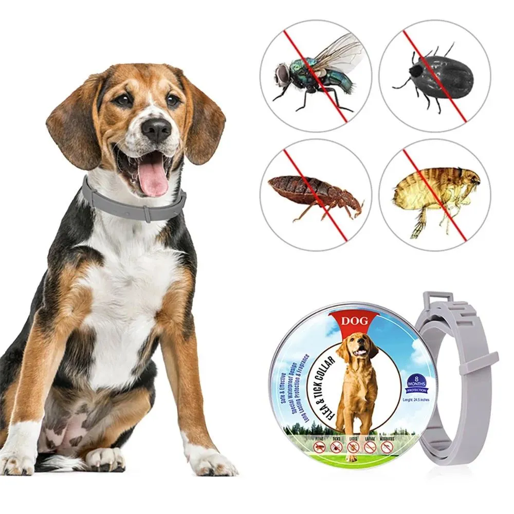 Flea Collar Dogs 8-month Flea and Tick Prevention for Dogs 3 Months of Age and Older