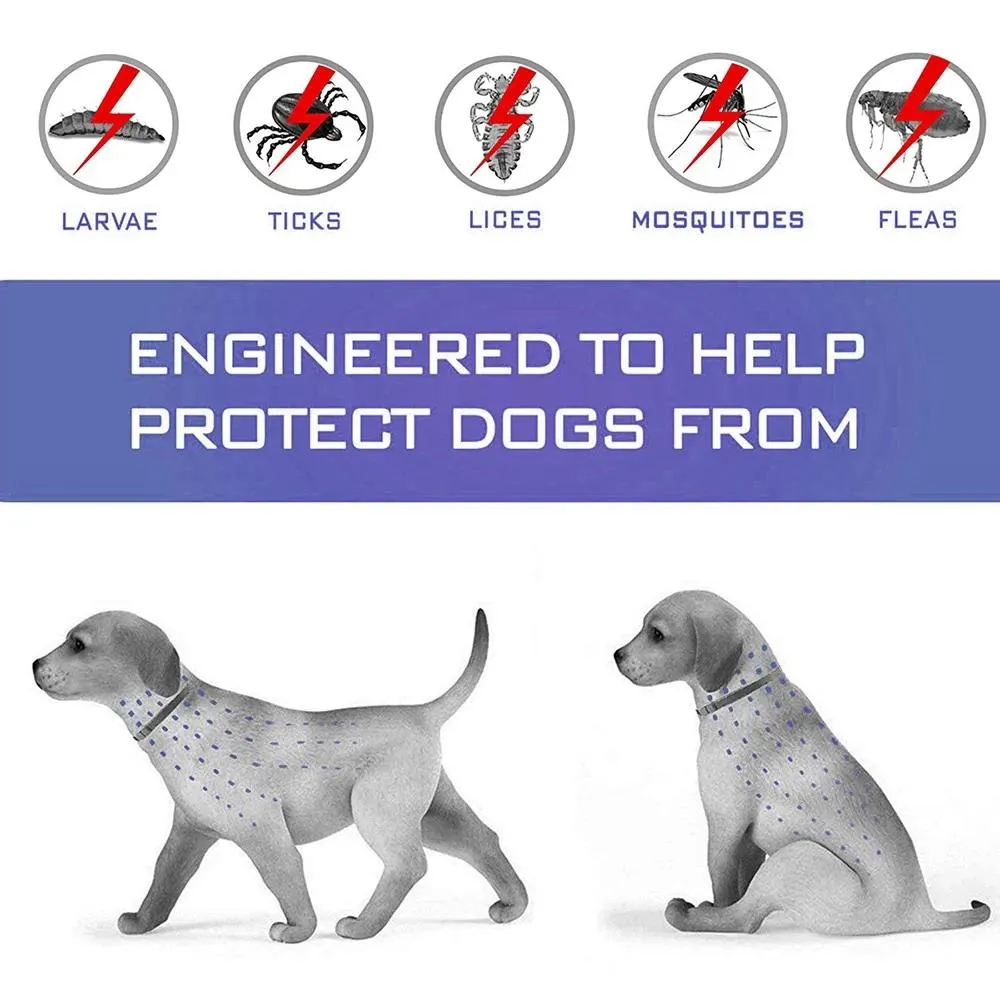 Flea Collar Dogs 8-month Flea and Tick Prevention for Dogs 3 Months of Age and Older