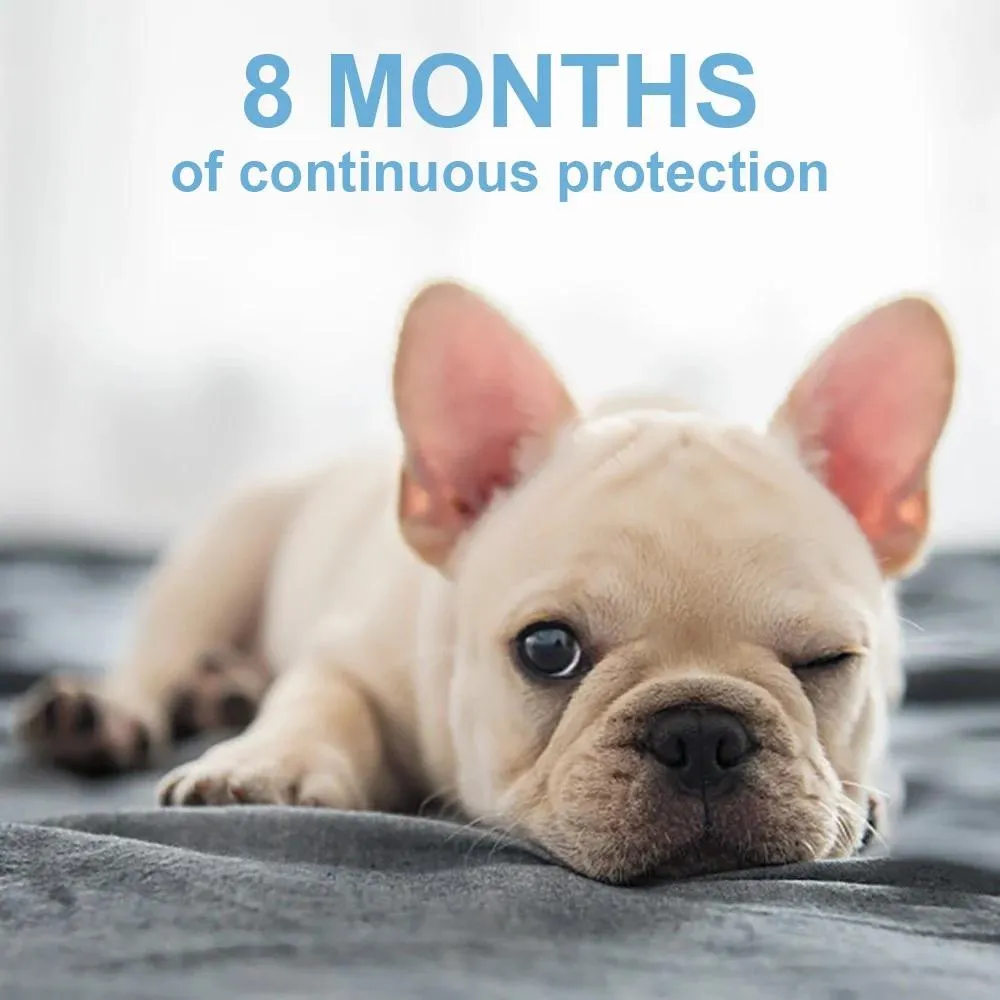 Flea Collar Dogs 8-month Flea and Tick Prevention for Dogs 3 Months of Age and Older
