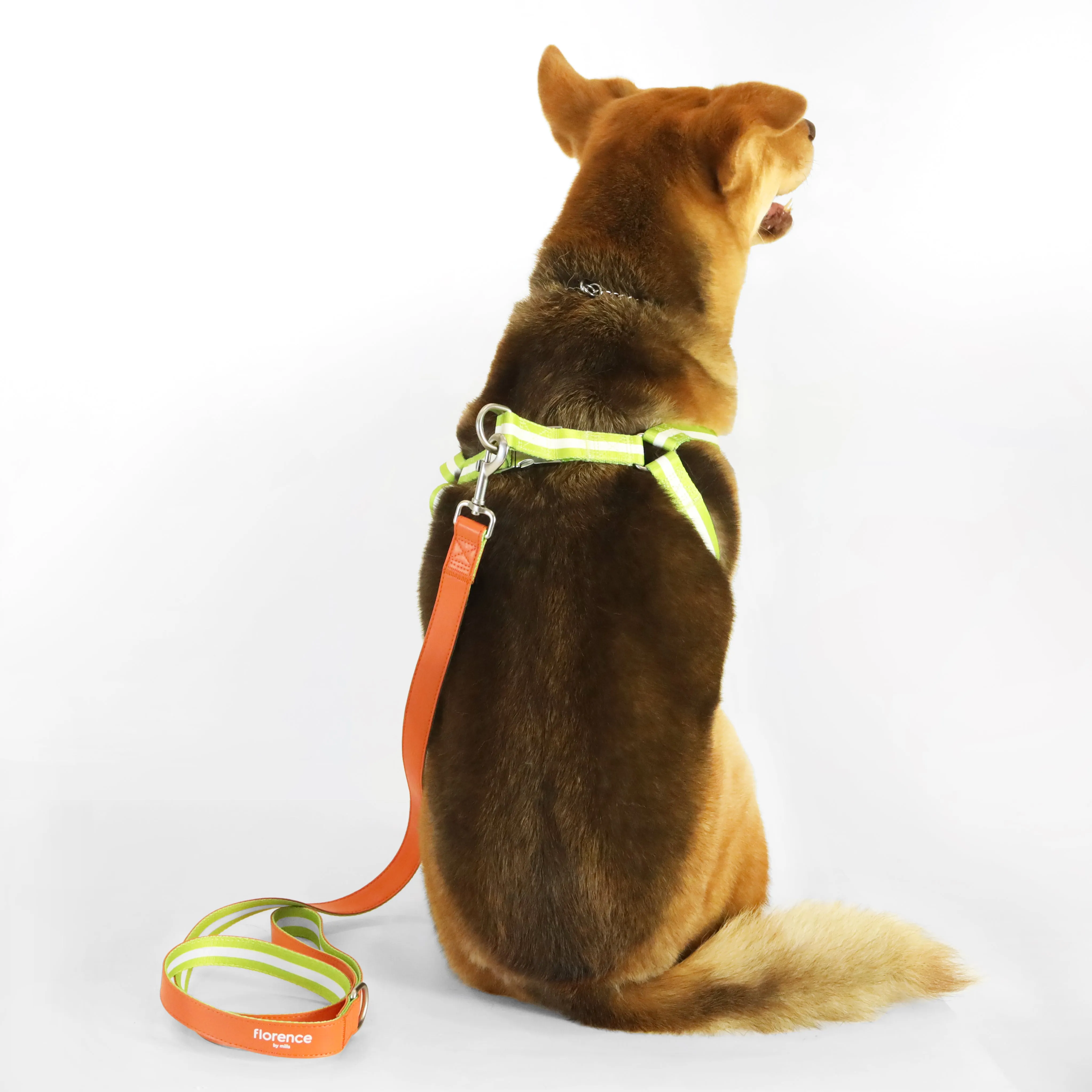 Florence by Mills Appleskin Dog Harness