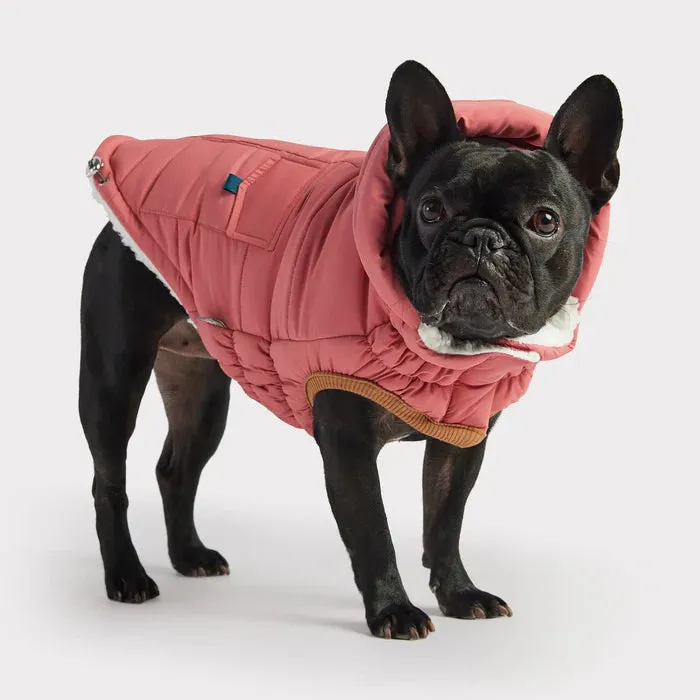 GF Pet Puff Dog Parka