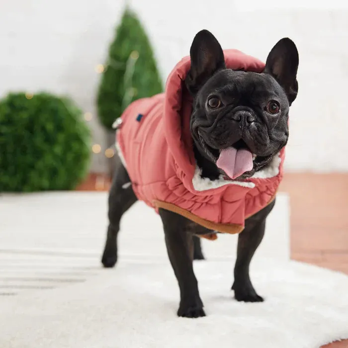 GF Pet Puff Dog Parka