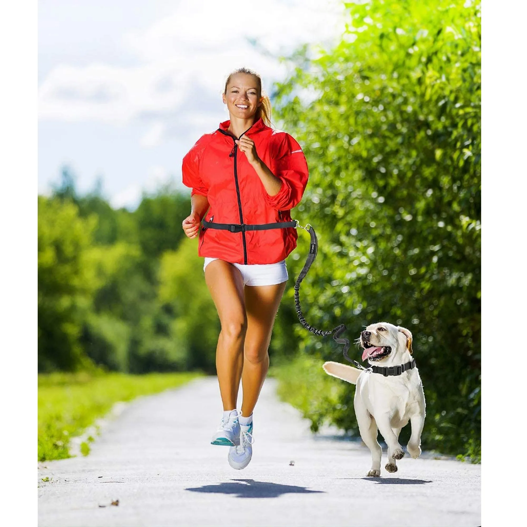GOOPAWS No Pull Hand Free Bungee Dog Leash for Hiking, Running, Black