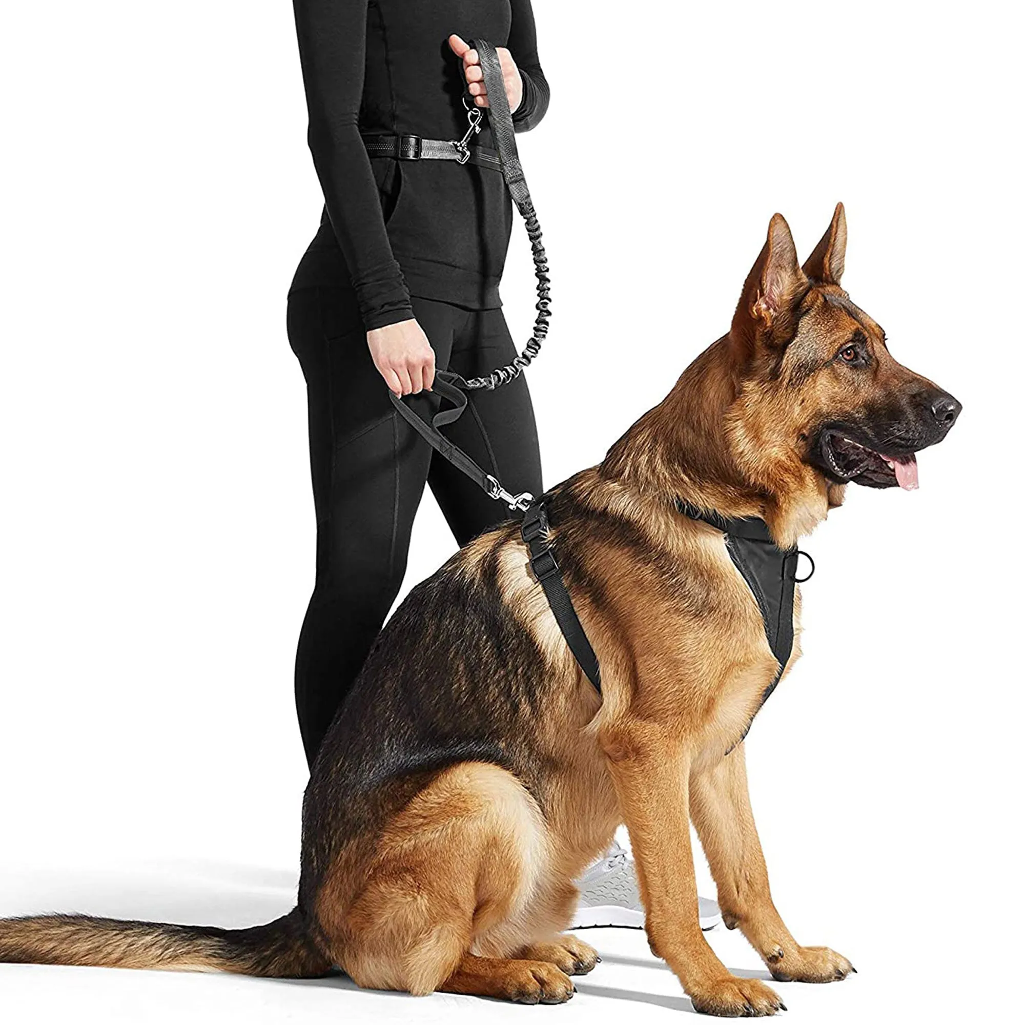 GOOPAWS No Pull Hand Free Bungee Dog Leash for Hiking, Running, Black