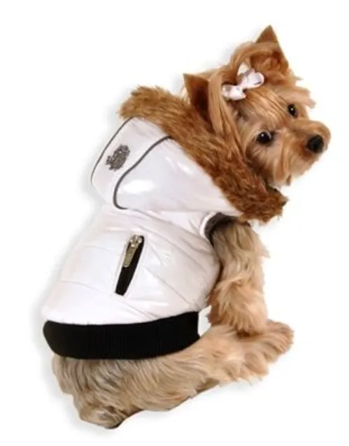 Hip Doggie Elite Reflective Coat - Limited Edition!