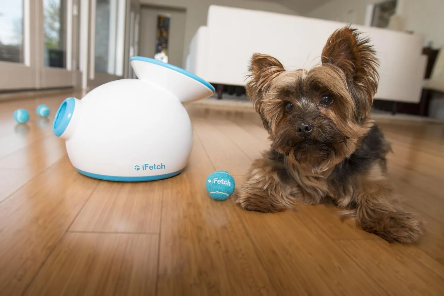 iFetch Automatic Ball Launcher for Dogs, does not include balls, takes 1.5" tennis balls! Retails $167 