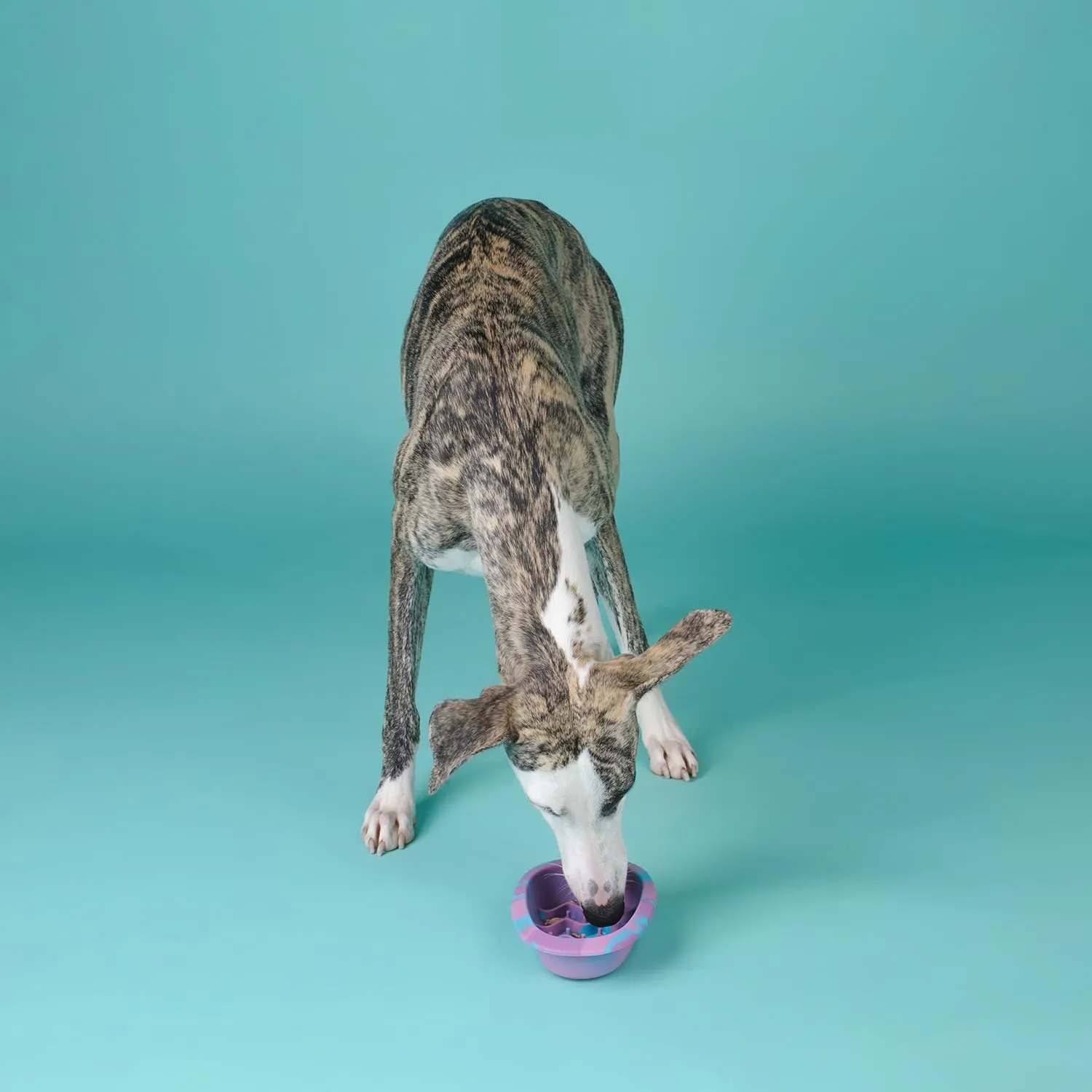 Interactive Dog Lick Mat Bowls, BPA-Free Silicone Dog Slow Feeder Bowl with Suction Cups, Non Slip Food Bowl for Dogs and Cats, Reduces Boredom and Anxiety, Dishwasher Safe, Rainbow Small