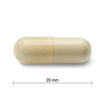 Jamieson Glucosamine 500 mg