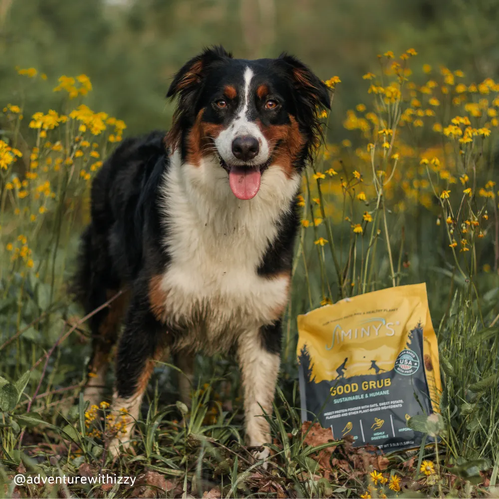 Jiminy's Cravin' Cricket Dry Dog Food, Sensitive Stomach, Improved Gut Health