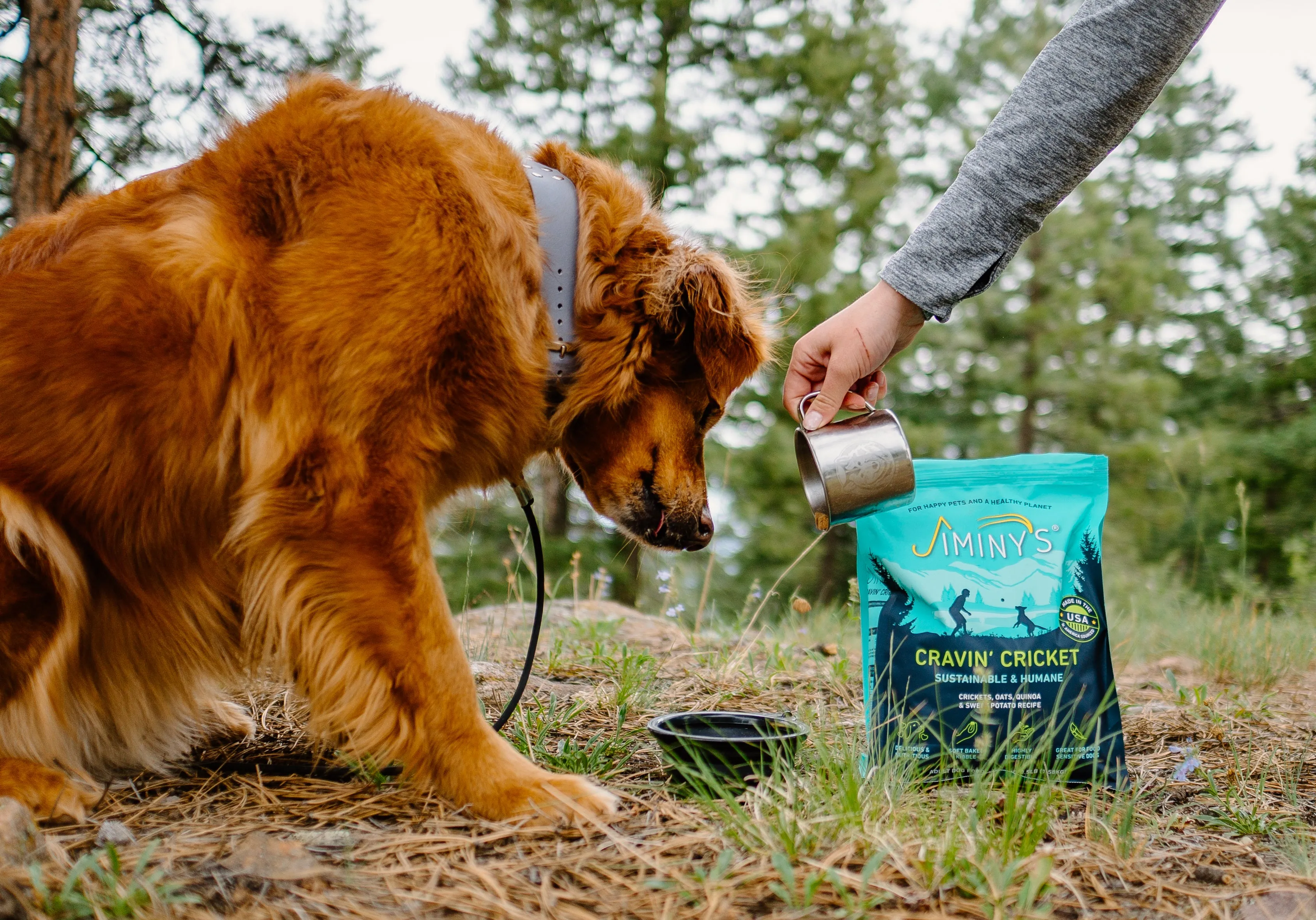 Jiminy's Cravin' Cricket Dry Dog Food, Sensitive Stomach, Improved Gut Health